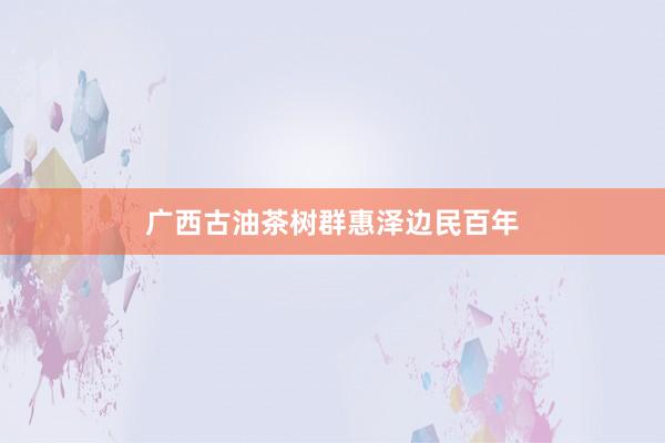 广西古油茶树群惠泽边民百年